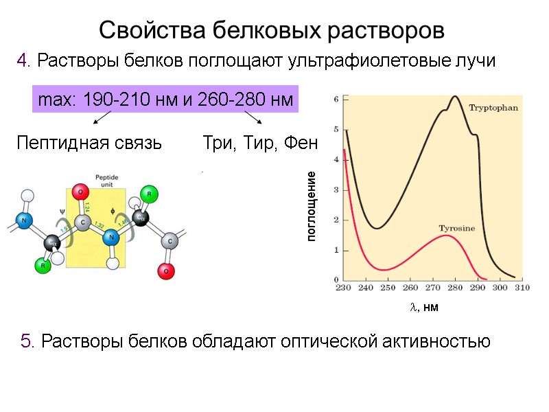 Свойства белковых растворов Растворы белков поглощают ультрафиолетовые лучи max: 190-210 нм и 260-280 нм